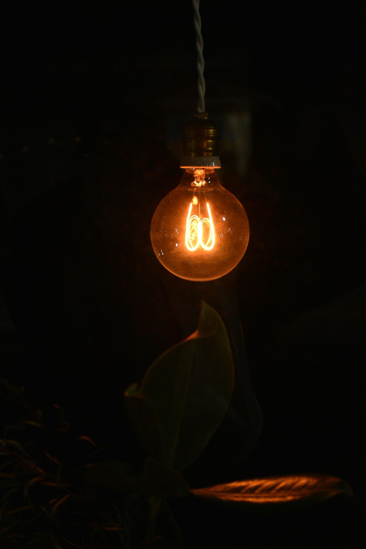 Glowing light bulb with visible filament hanging in darkness above a plant.